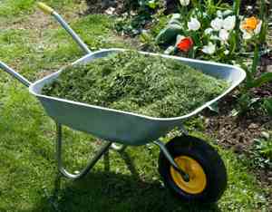 What Is the Best, Free Mulch for My Gardens for Weed Control? Image